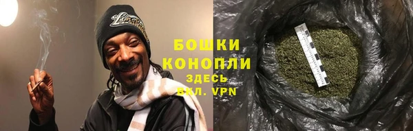 прущие грибы Арсеньев