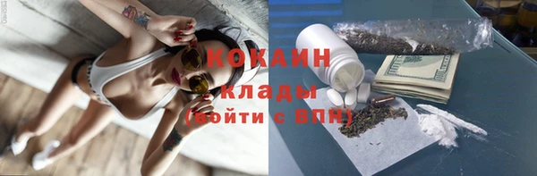 прущие грибы Арсеньев