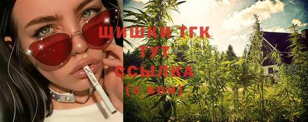 прущие грибы Арсеньев