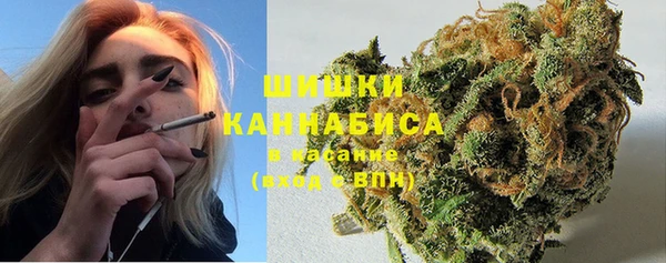 прущие грибы Арсеньев