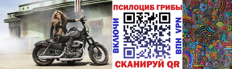 Галлюциногенные грибы мухоморы  Покров 