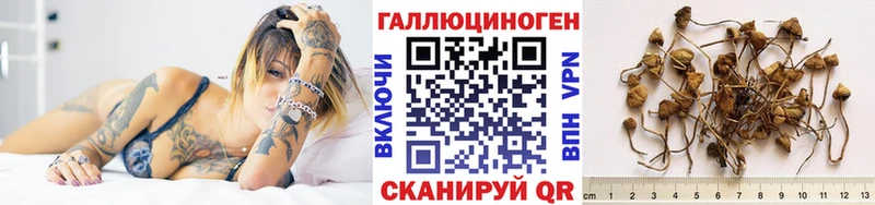Галлюциногенные грибы Cubensis Покров